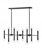 Lark Canada 83196BK - Large Sixteen Light Linear Chandelier