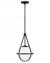 Lark Canada 83677BK - Small Pendant