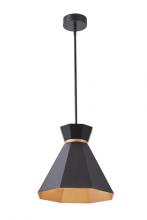 Vinci Lighting Inc. P1412-BKG - Pendant Aged Brass/Black