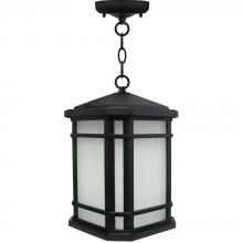 Avista Lighting Inc A0214H-BK - Avista Elm Outdoor Pendent Black