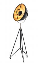 Bethel International DLS74F23B - Floor Lamp Metal