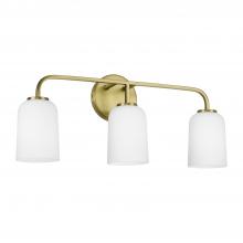 Capital Canada 148831AD-542 - 3 Light Vanity