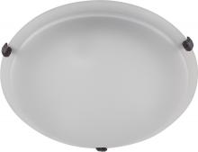 Whitfield ESFM55-12AWEBZ - LED 2 Light Flush Mount