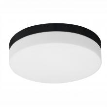 Whitfield FM52-16BK - 2 Light Flush Mount