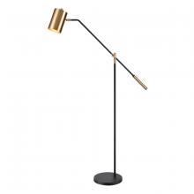 ELK Home S0019-9565 - Oliver Avenue 64'' High 1-Light Floor Lamp - Matte Black